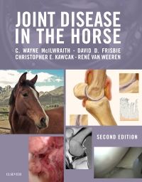 Joint Disease in the Horse