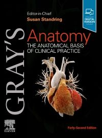 Gray's Anatomy