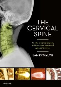 The Cervical Spine